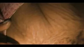 Arvadini pusmaq