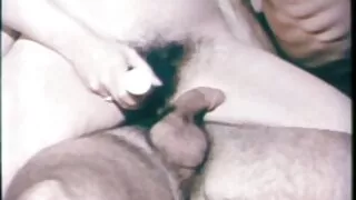 Mənim sarışın öz pişik və mənim xoruzla oynayır