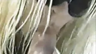 sikməyi sevən yeniyetmələr