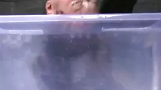 Ən yaxşı HJ videolarından biri