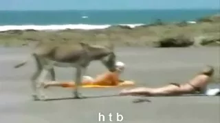 Seksual həyat yoldaşı ilə