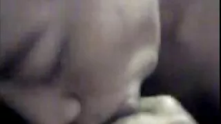 Vəhşi pişiyin böyük saxta döşləri var
