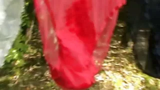 Daniel və Lupita